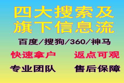 SEM优化技巧：实战案例深度剖析